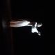 Show DSC01519.jpg full resolution