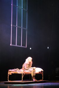 Joe - de Musical - Harlekijn  Rob Wetzer 2006