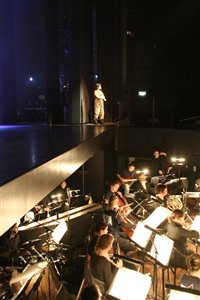Joe - de Musical - Harlekijn  Rob Wetzer 2006